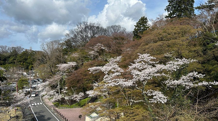 🌸 마츠가오카 공원(마츠가오카 코엔) 이미지 11